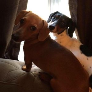 Meet your Posher, Courtney